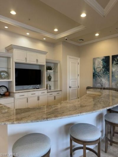 20377 Black Tree Ln, Estero, FL 33928 Photo