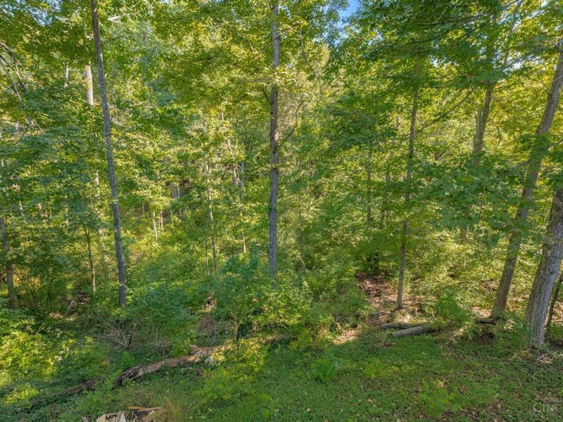 6174 S Shadow Hill Way, Miami Township, OH 45140 Photo 25