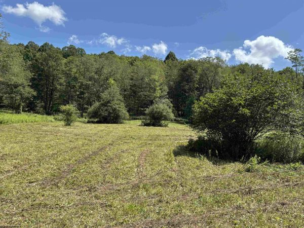 TBD Hunters Fork Road, Belington, WV 26250