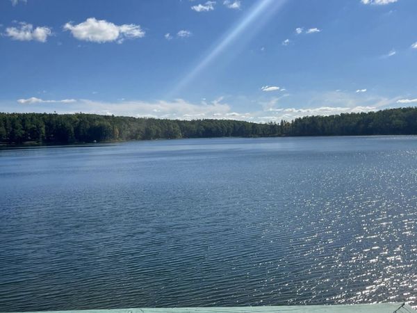 2932 Reader Trail, Grayling, MI 49738