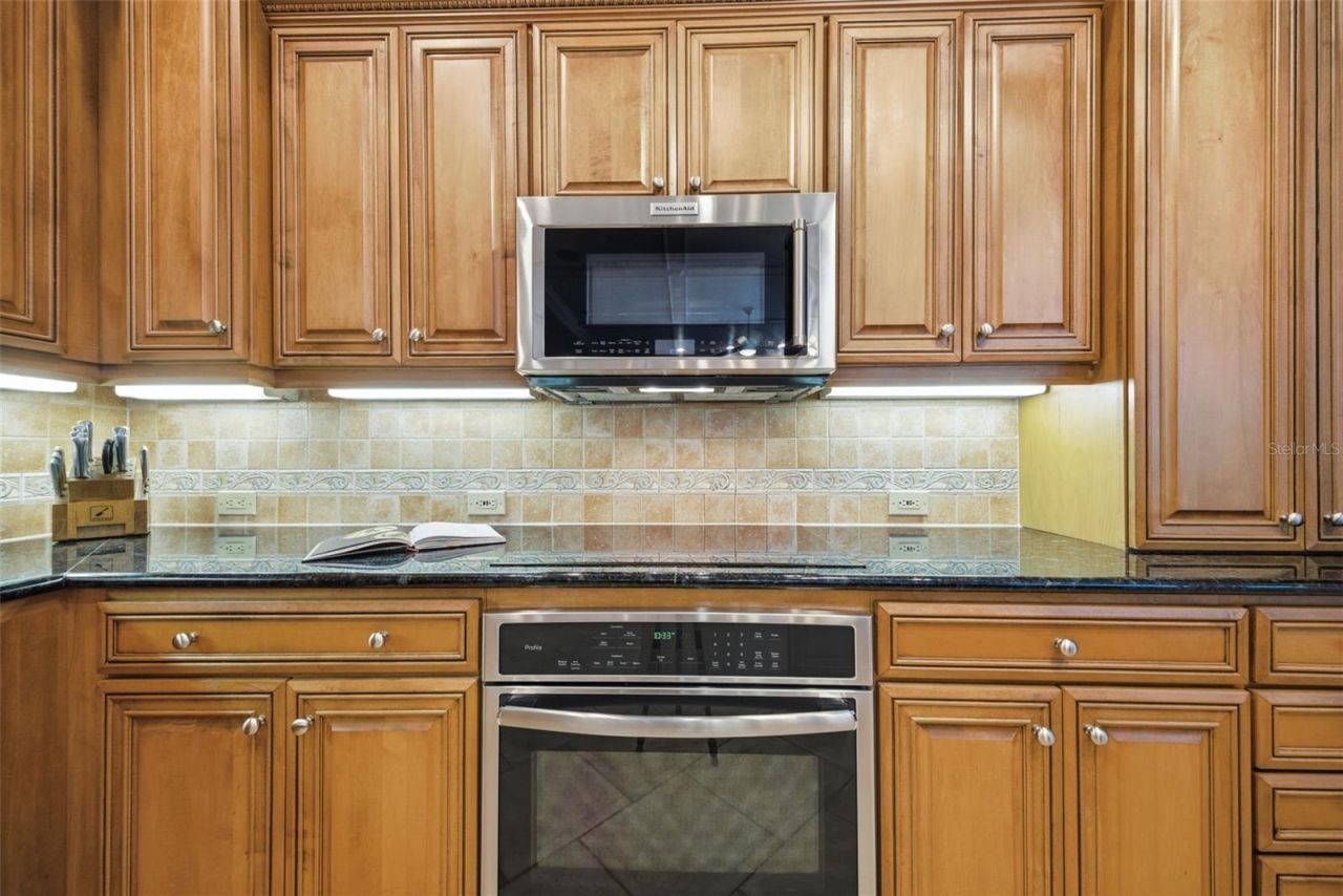 2887 Grey Oaks Boulevard, Tarpon Springs, FL 34688 Photo