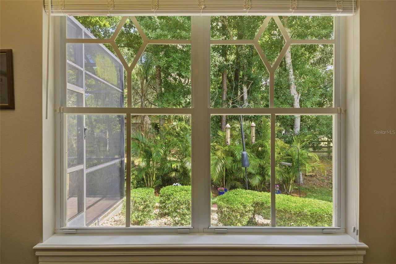 2887 Grey Oaks Boulevard, Tarpon Springs, FL 34688 Photo