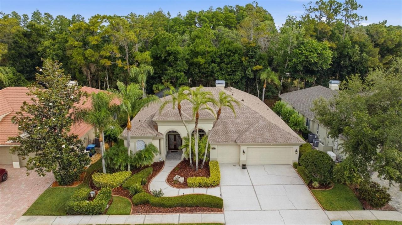 2887 Grey Oaks Boulevard, Tarpon Springs, FL 34688 Photo