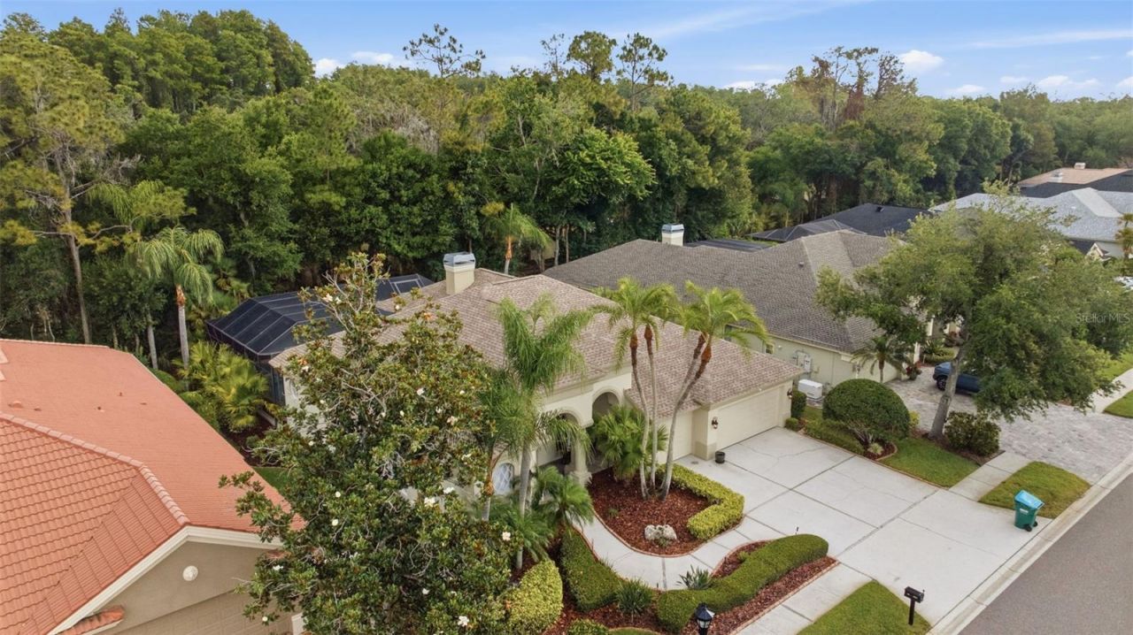 2887 Grey Oaks Boulevard, Tarpon Springs, FL 34688 Photo