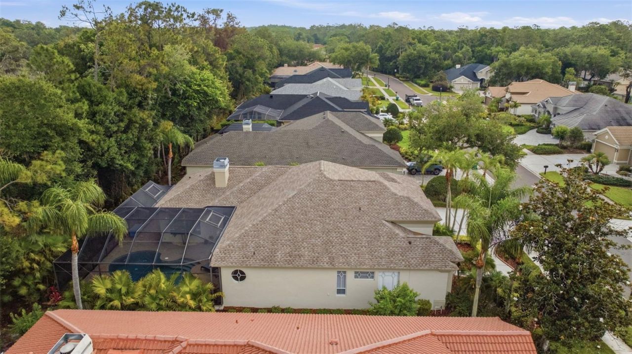 2887 Grey Oaks Boulevard, Tarpon Springs, FL 34688 Photo