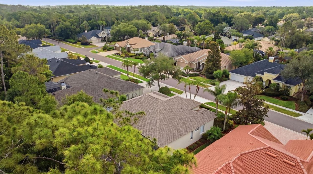 2887 Grey Oaks Boulevard, Tarpon Springs, FL 34688 Photo