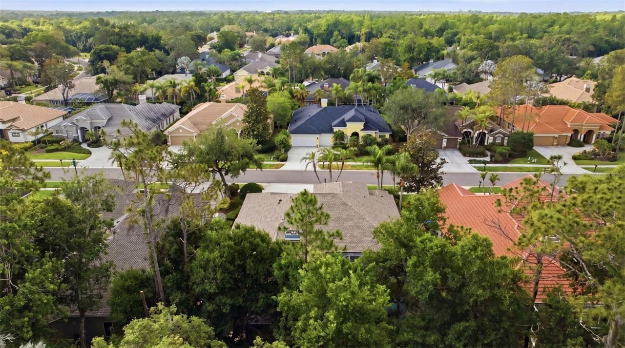 2887 Grey Oaks Boulevard, Tarpon Springs, FL 34688 Photo