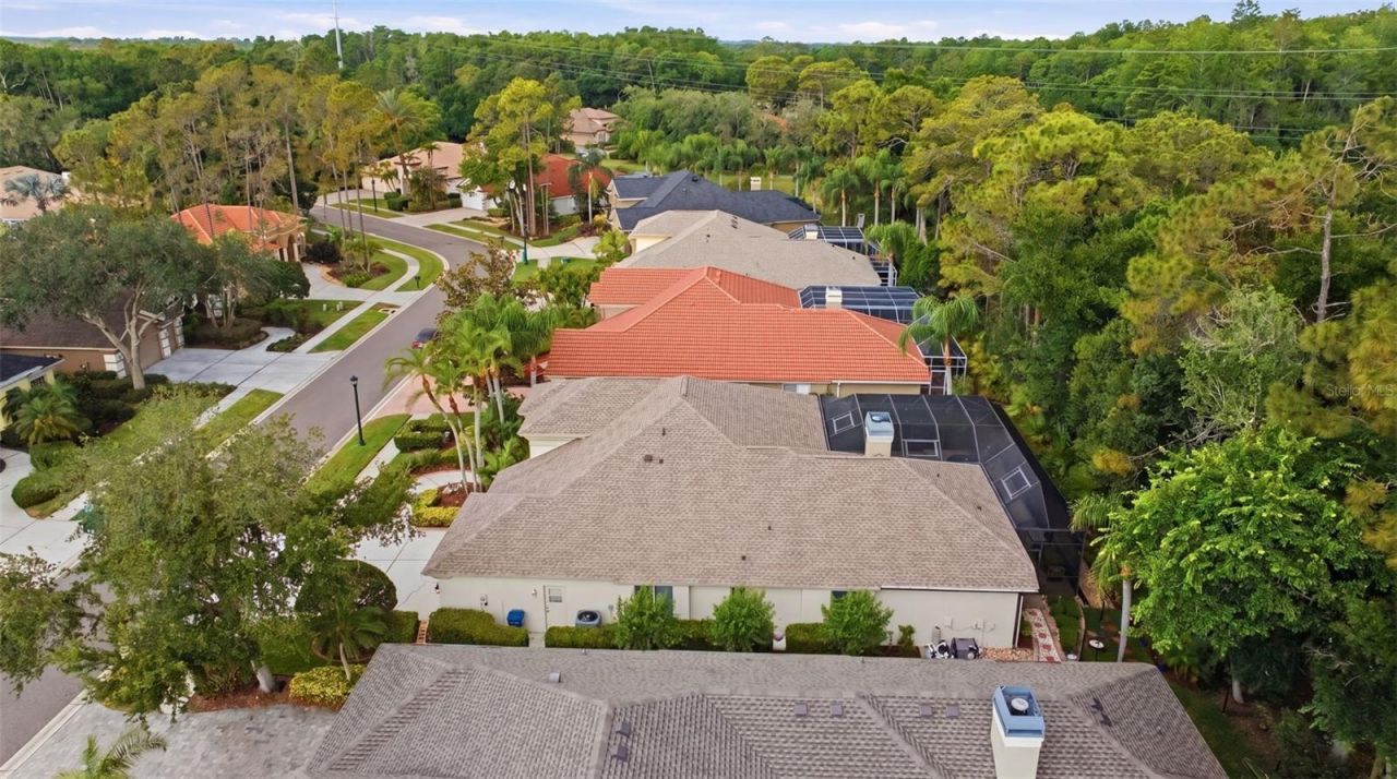 2887 Grey Oaks Boulevard, Tarpon Springs, FL 34688 Photo