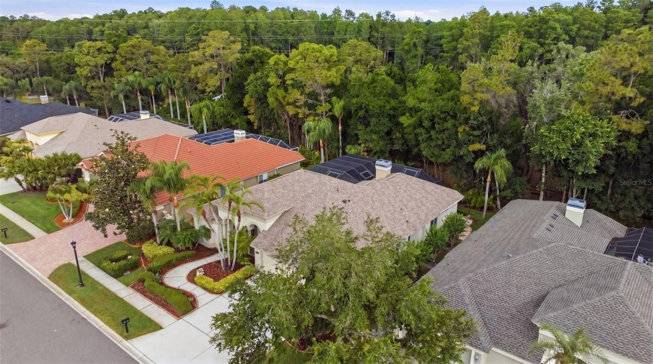 2887 Grey Oaks Boulevard, Tarpon Springs, FL 34688 Photo