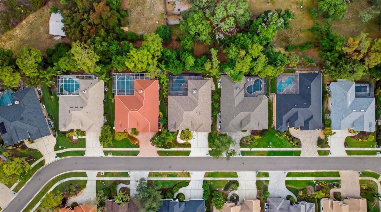 2887 Grey Oaks Boulevard, Tarpon Springs, FL 34688 Photo