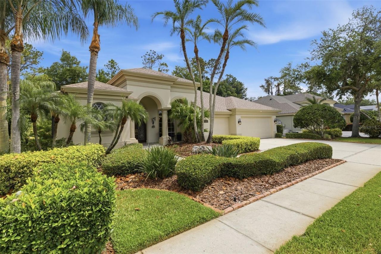 2887 Grey Oaks Boulevard, Tarpon Springs, FL 34688 Photo