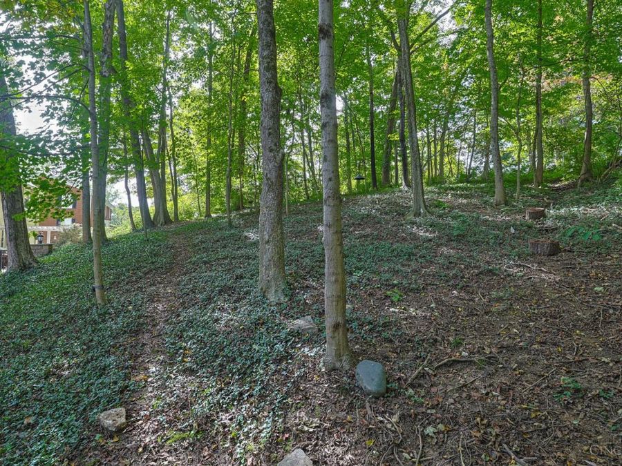 Property Image 62