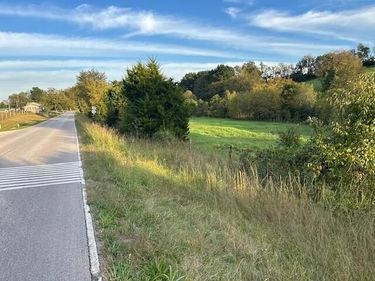 3068 Lower Jackstown/Carpenter Pike Rd Corner Road, Unit T.B.D., Carlisle, KY 40311