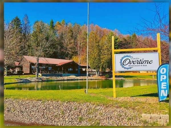 1058 Rt 394 , Kennedy, NY 14747