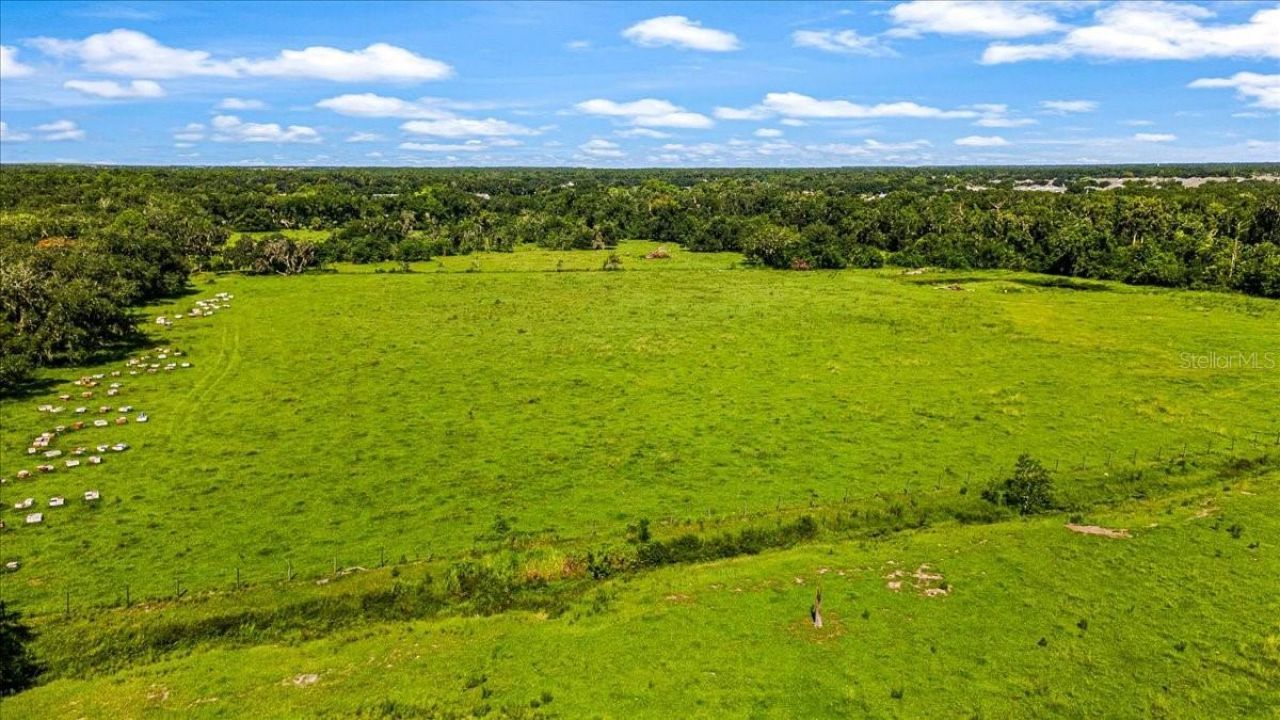 16996 Waterline Road, Bradenton, FL 34212 Photo