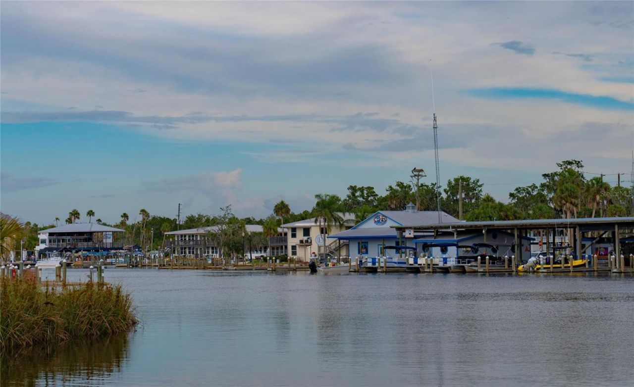 11579 W Rosa Ct , Homosassa, FL 34448 Photo
