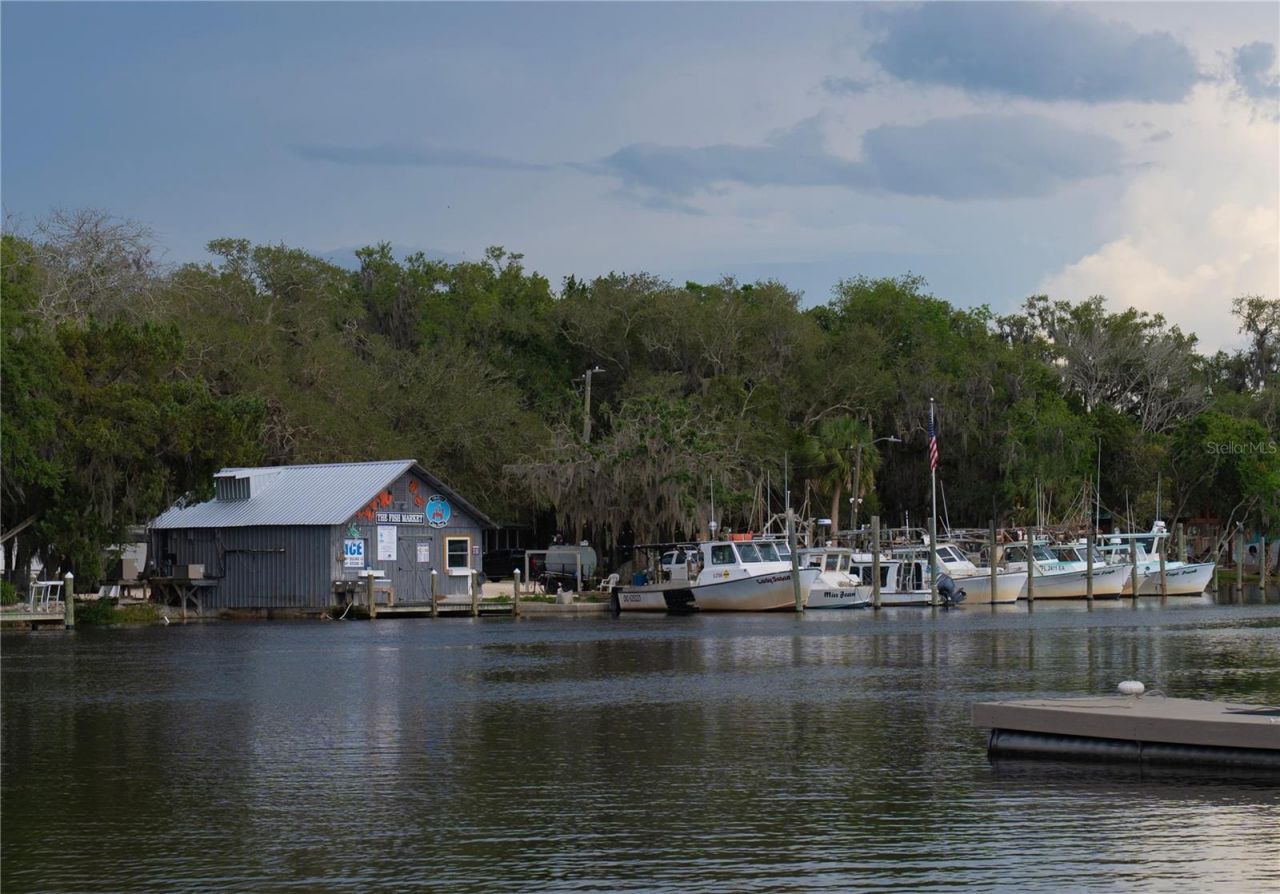 11579 W Rosa Ct , Homosassa, FL 34448 Photo