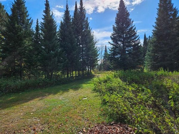 Lt 3 Blk 1 County Rd 238 , Deer River, MN 56636