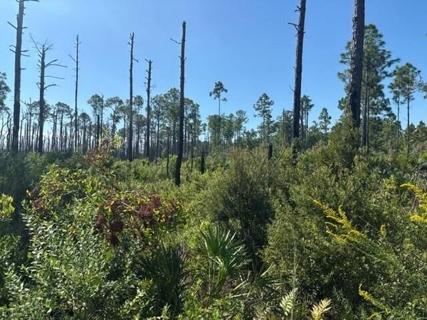 0 Hwy 630e, Frostproof, FL 33843