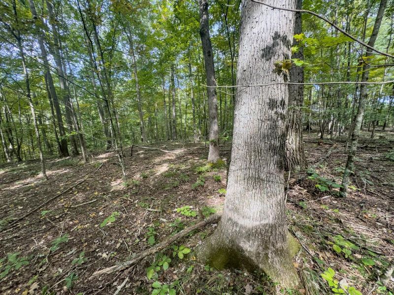 15645 Township Road 287 SE, Glouster, OH 45732 Photo 32