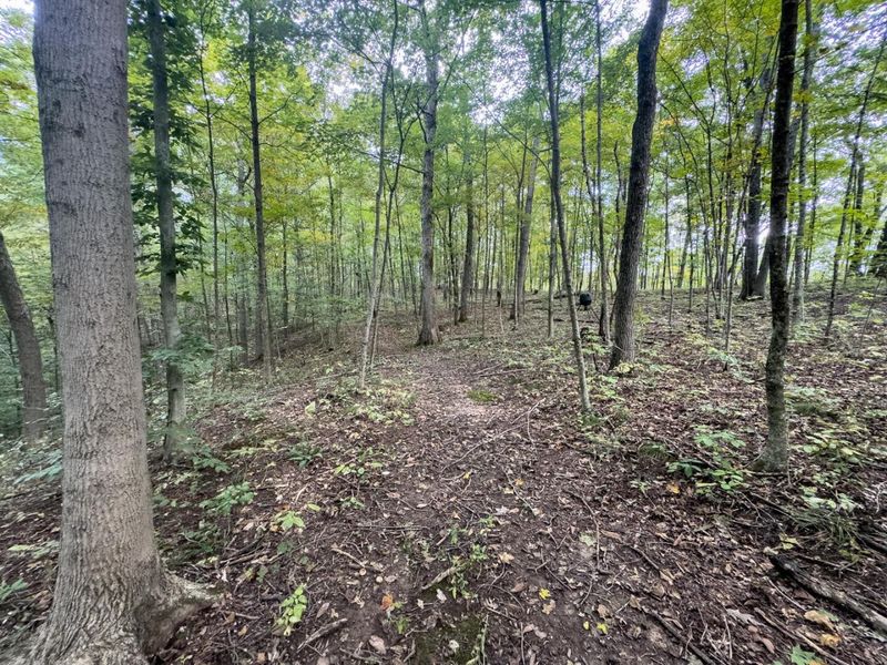 15645 Township Road 287 SE, Glouster, OH 45732 Photo 33