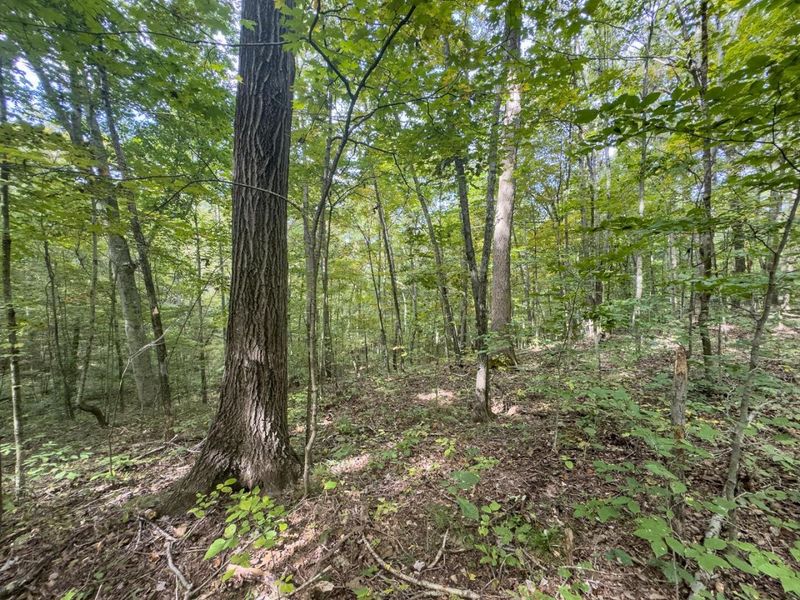 15645 Township Road 287 SE, Glouster, OH 45732 Photo 34