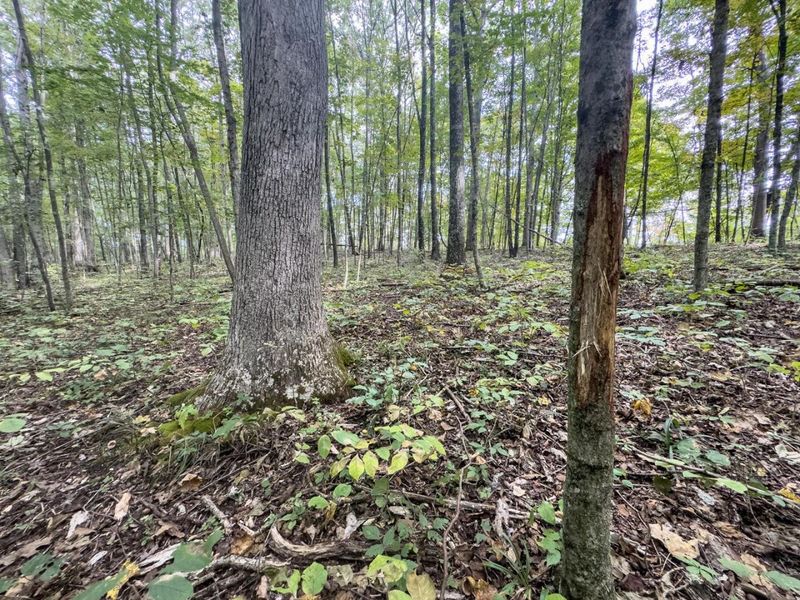 15645 Township Road 287 SE, Glouster, OH 45732 Photo 35
