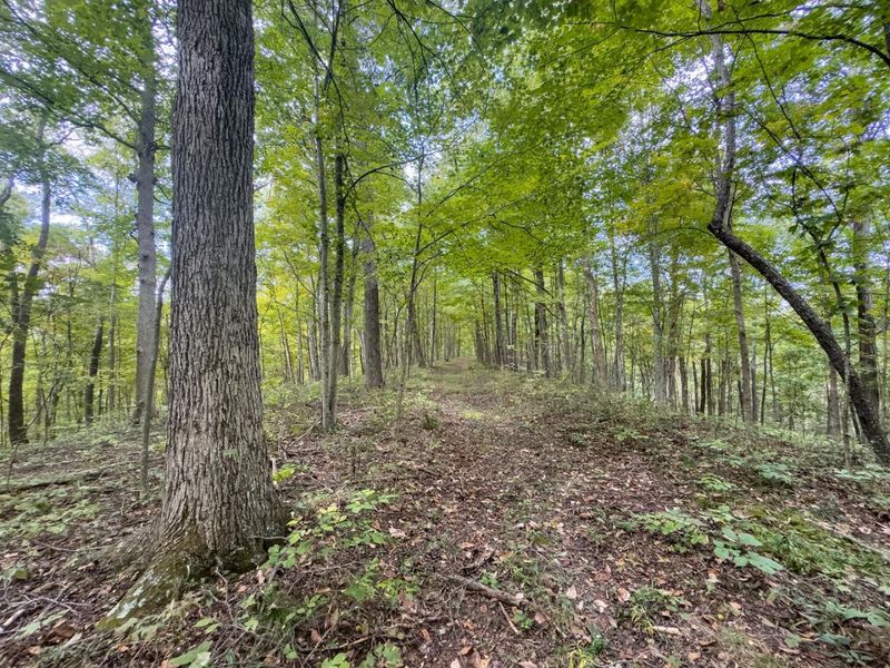 15645 Township Road 287 SE, Glouster, OH 45732 Photo 36