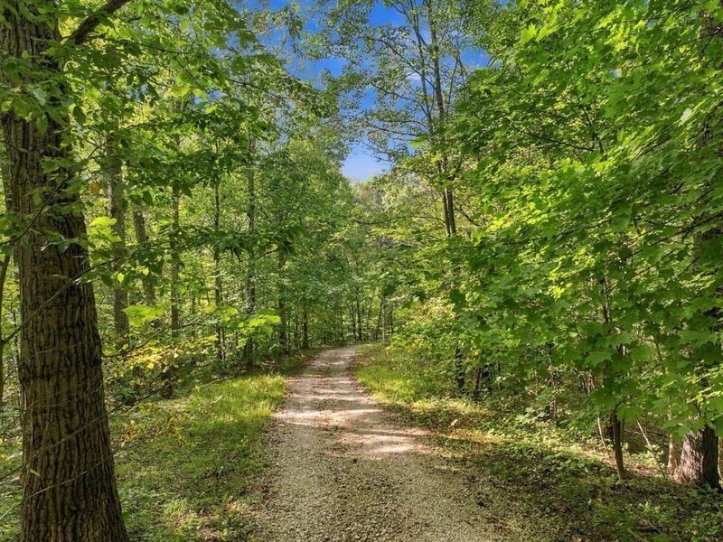 15645 Township Road 287 SE, Glouster, OH 45732 Photo 4