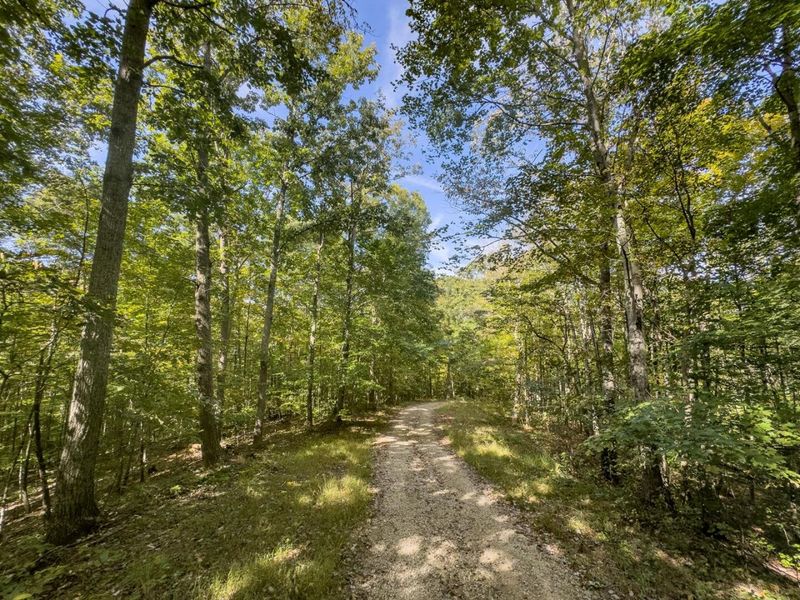 15645 Township Road 287 SE, Glouster, OH 45732 Photo 5