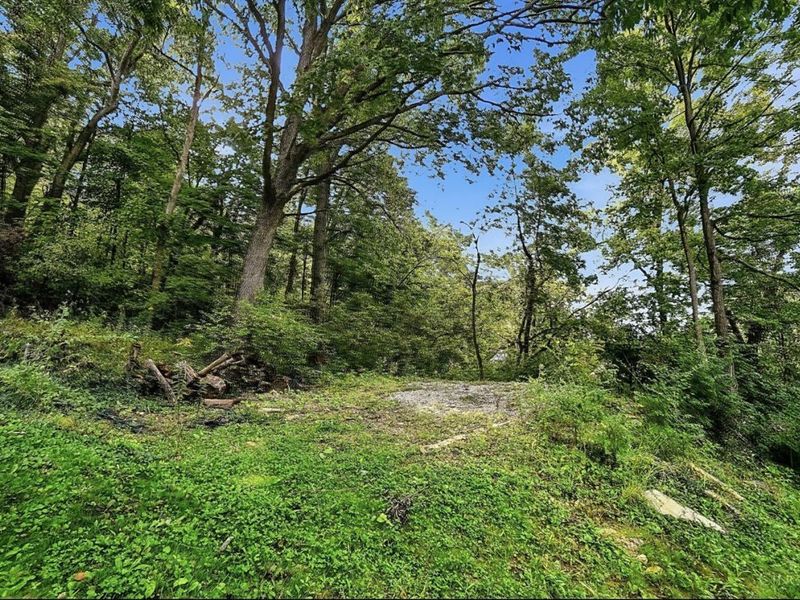 6937 Vinewood Avenue, Columbia Township, OH 45227 Photo 49