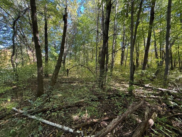 tbd 90th Avenue, Amery, WI 54001