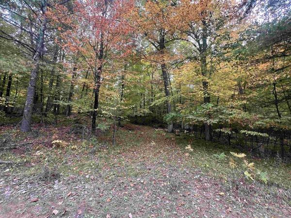 N17031 ROTH LANE, Pembine, WI 54156