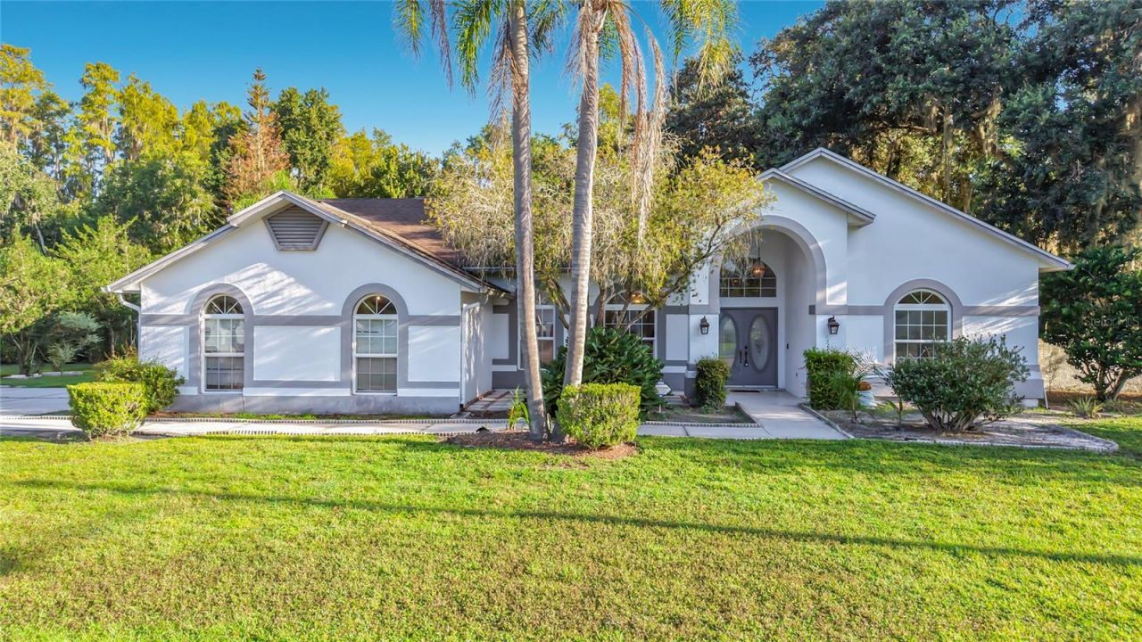 25035 Acorn Drive, Land O Lakes, FL 34639 Main Photo