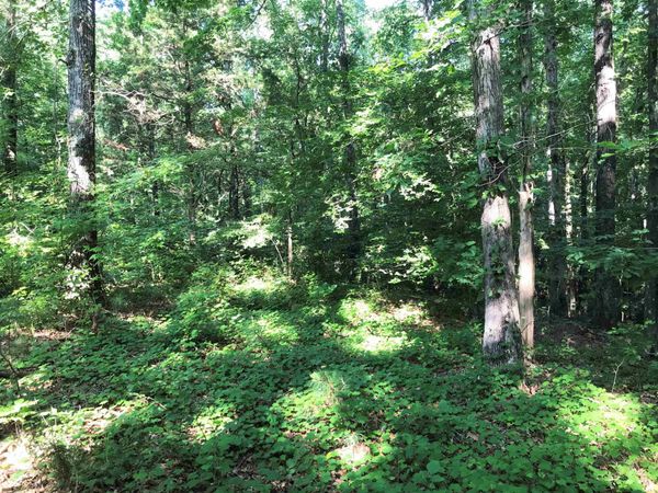 HWY 142/KIMBERLY LN, Counce, TN 38326