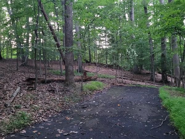 264 GOLDEN WOODS COURT, GREAT FALLS, VA 22066