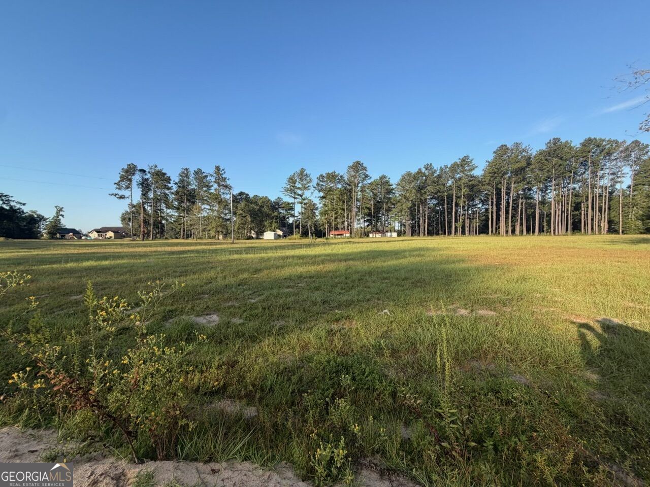 2029 Memphis Road, Metter, GA 30439 Main Photo