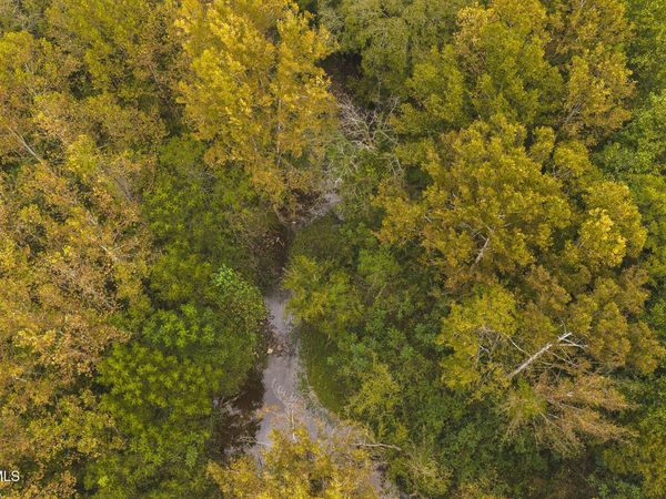 1444 Beech Creek Road, Rogersville, TN 37857