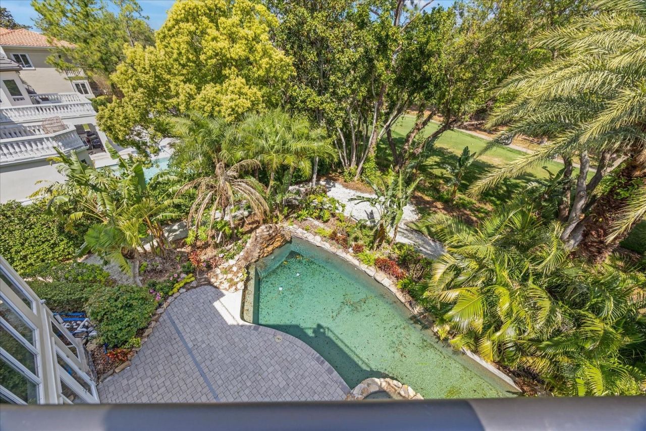1058 Roundstone Place, Palm Harbor, FL 34683 Photo