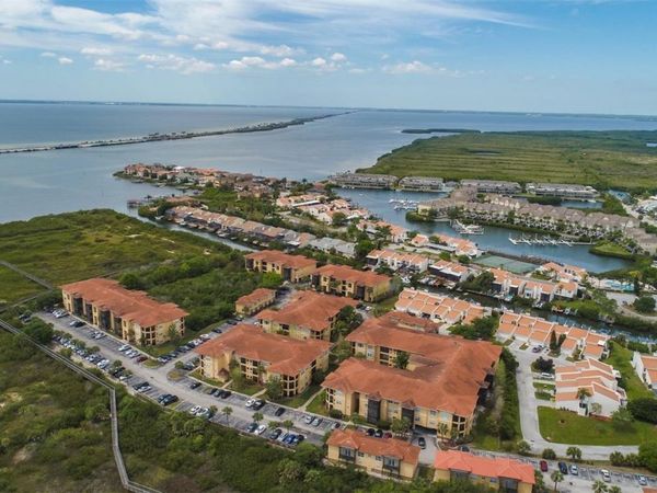 4323 BAYSIDE VILLAGE DRIVE , Unit 219, TAMPA, FL 33615