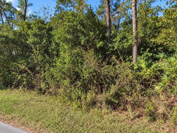 COON ROAD , ASTOR, FL 32102