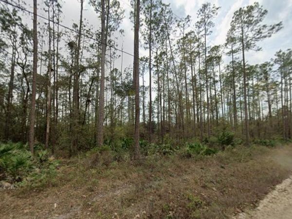 0 GLISSON STREET , INTERLACHEN, FL 32148