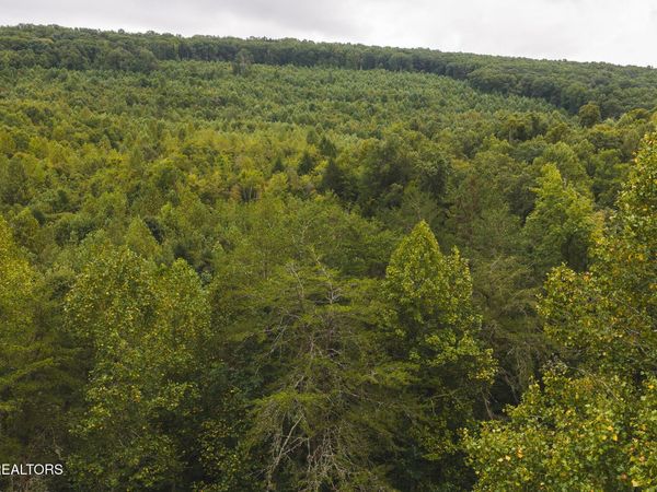 1444 Beech Creek Rd, Rogersville, TN 37857