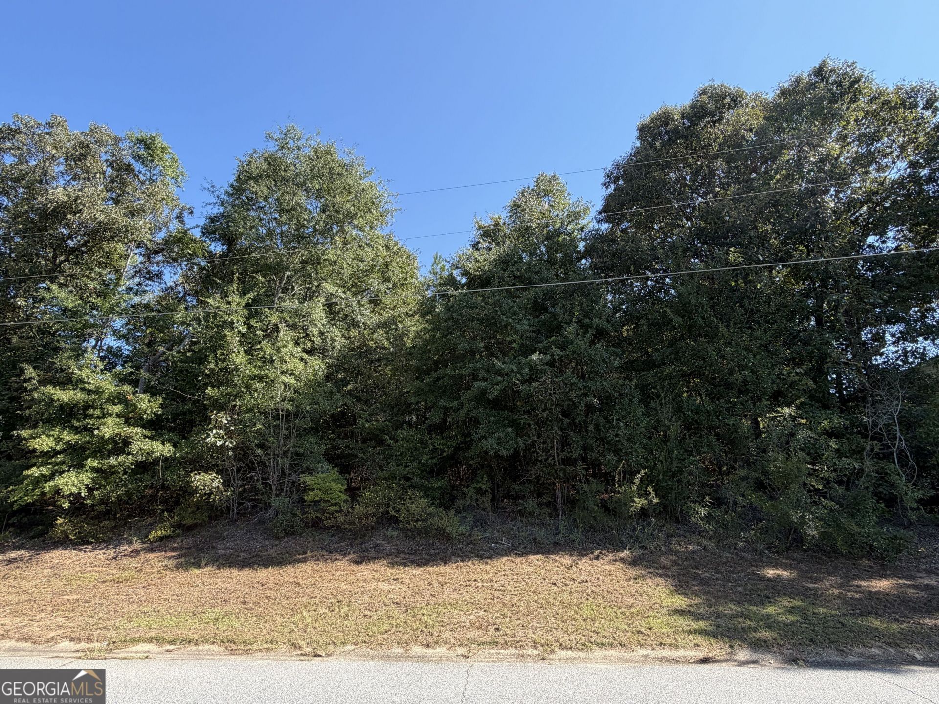 100 Dogwood Glen Drive, Centerville, GA 31028 Main Photo