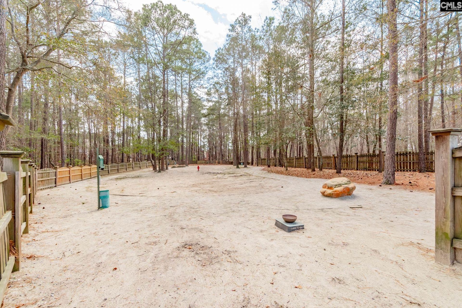 805 Winsham Drive Photo 48