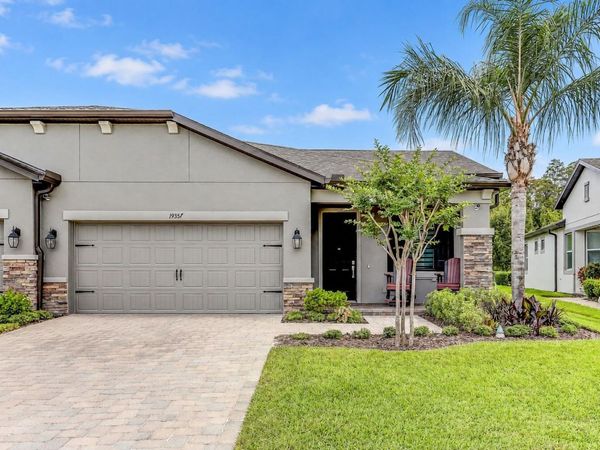 19357 HAWK VALLEY DRIVE , TAMPA, FL 33647