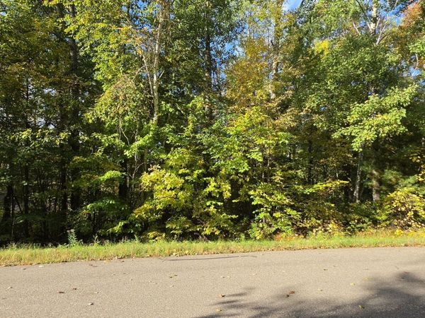 TBD Easy Street , Cushing, MN 56443