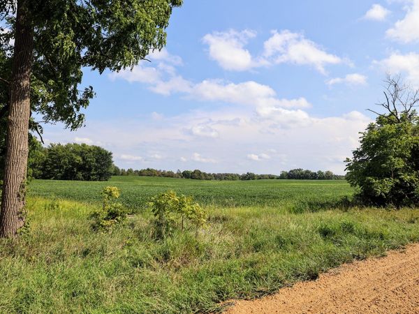 4667 Hill Road, Bellevue, MI 49021