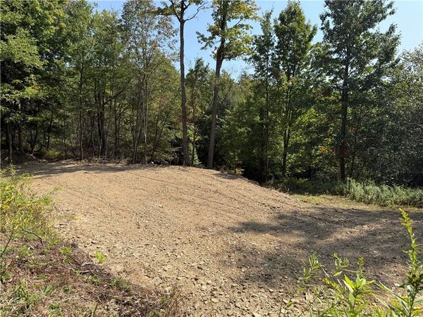 Alma Hill Road , Wellsville, NY 14895