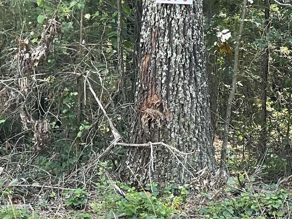 Lot 6 Pleasant Ridge Road , Greers Ferry, AR 72067